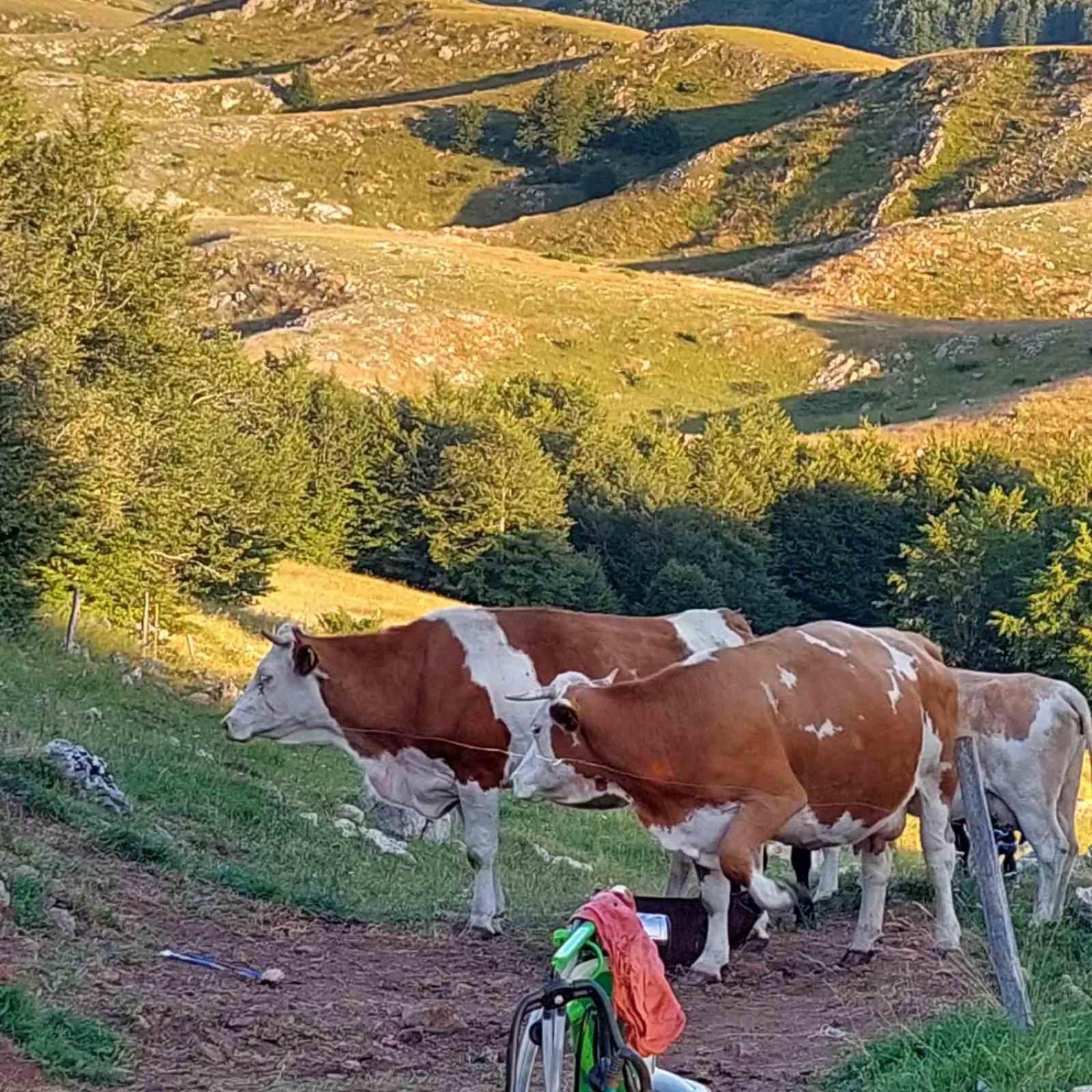 Katun Ljeljenak Hotell Plužine Exteriör bild