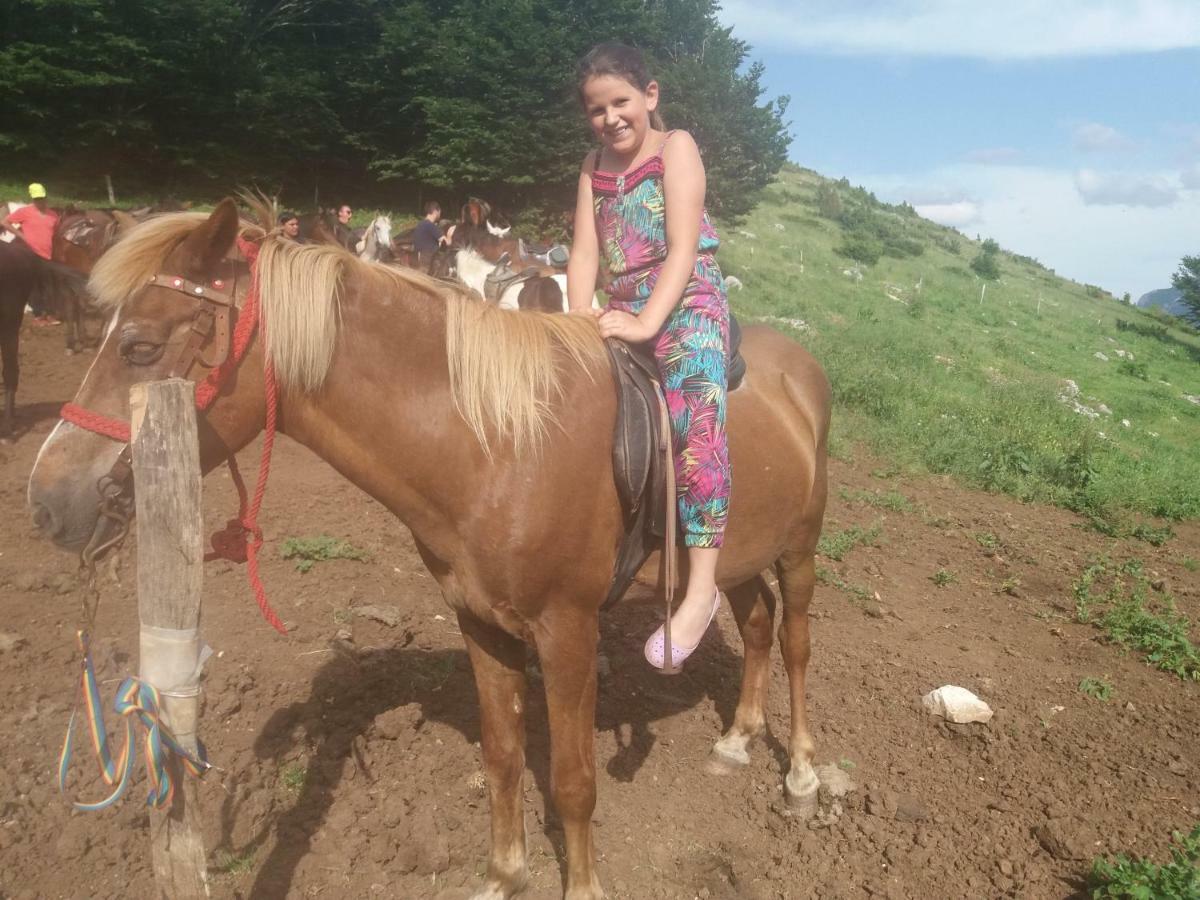 Katun Ljeljenak Hotell Plužine Exteriör bild