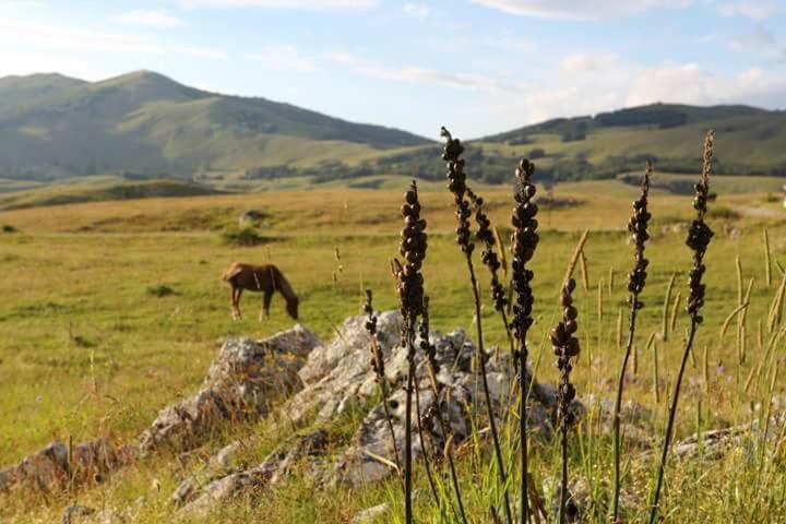 Katun Ljeljenak Hotell Plužine Exteriör bild