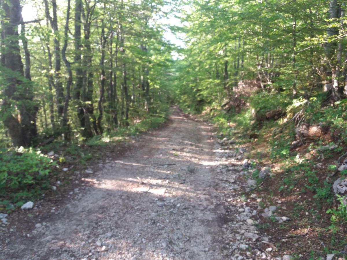 Katun Ljeljenak Hotell Plužine Exteriör bild