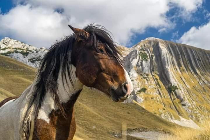 Katun Ljeljenak Hotell Plužine Exteriör bild